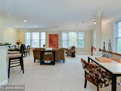7122 Mason Grove Ct unit 34, Alexandria, VA 22306 - photo 5