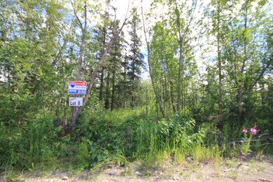 Lot 8