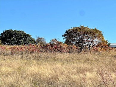 171 County Road 306, Goldthwaite, TX 76844 - photo 3