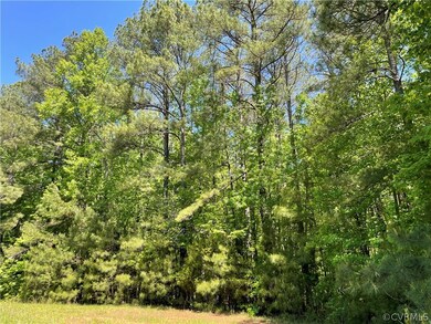 00 K-V Rd, Lunenburg, VA 23944 - photo 2