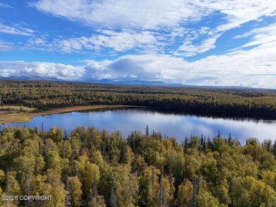 21535 E Quarah Lake Ave, Talkeetna, AK 99676 - photo 5