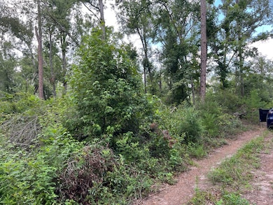 17582 14th St, Live Oak, FL 32060 - photo 5