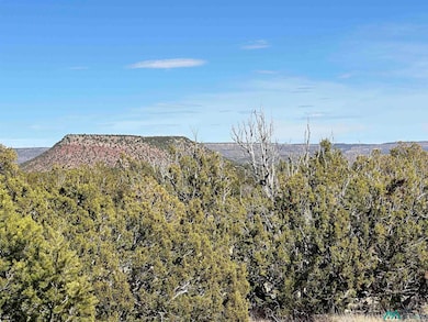 4.872 acres Frontage Road 2116, Serafina, NM 87569 - photo 4