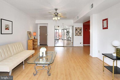 207 Skyhill Rd unit 1, Alexandria, VA 22314 - photo 6