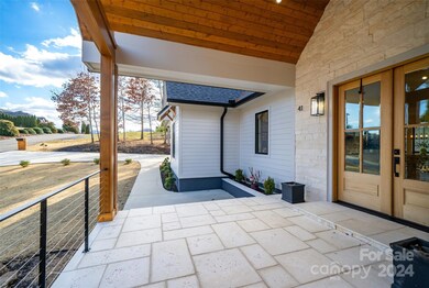 41 Mountain Shadows Dr, Leicester, NC 28748 - photo 3
