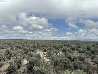 0 Kna Lost Forest Ln unit 4700, Christmasvalley, OR 97641 - photo 6