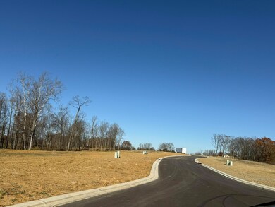 6681 Tullamore Ln unit Lot 3, Independence, KY 41051 - photo 3
