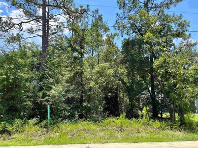 unlisted-address, Crawfordville, FL 32327 - photo 6