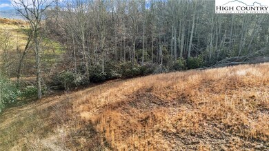 53 Springwinds Dr, Beech Mountain, NC 28604 - photo 4