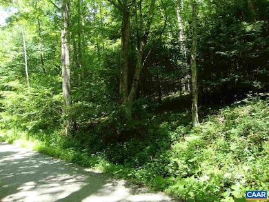 0 Zinks Mill School Rd unit 564867, Montebello, VA 24464 - photo 2