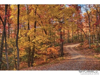 Autumn Path to Home