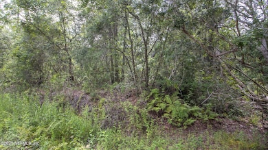 4235 Oak Forest Ln, Keystone Heights, FL 32656 - photo 5