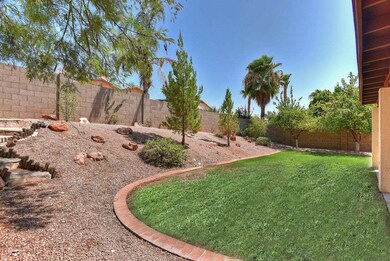 Backyard 1