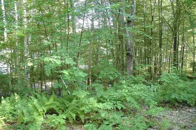 528 Berry River Rd, Barrington, NH 03825 - photo 7