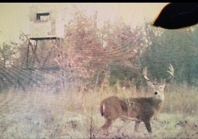 7314 E 136 Rd, Holdenville, OK 74848 - photo 5