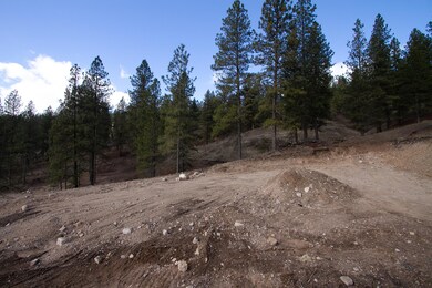 2600 Blk Pine Top Way Chewelah-8