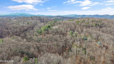 0 Locke Ridge Way unit 1324632, Sevierville, TN 37876 - photo 4