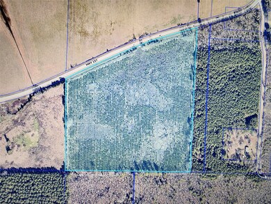 000 Louisiana 157, Plain Dealing, LA 71064 - photo 4