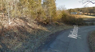 Google Maps Street View 3