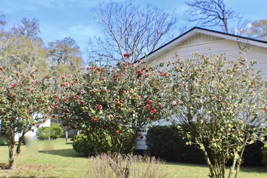 7701 Eaton Ave, Jacksonville, FL 32211 - photo 3