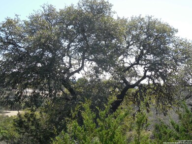 10406 Kendall Canyon, San Antonio, TX 78255 - photo 2