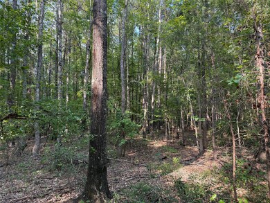 0 Best Rd, Simsboro, LA 71275 - photo 5