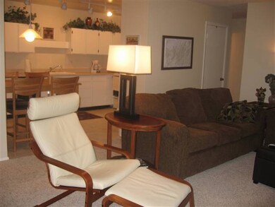 356 S Highway 143 unit BHV J6, Brian Head, UT 84719 - photo 7