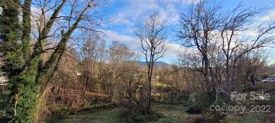 70 Unaka Ave, Asheville, NC 28803 - photo 3