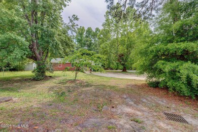 2128YauponFrontShots-3