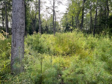 Lot # 9 Cranberry Way, Bowdoinham, ME 04008 - photo 6