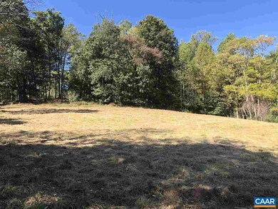 0 Tilman Rd unit 585959, Charlottesville, VA 22901 - photo 4