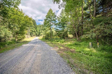 000 Cox Store Rd SW, Floyd, VA 24091 - photo 4