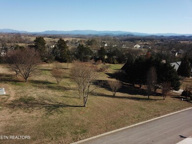 DJI_0043