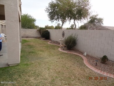back yard