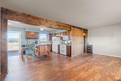 1155 County Road 301, Durango, CO 81303 - photo 6