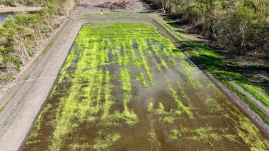 TBD Highway 3235, Cut Off, LA 70345 - photo 4