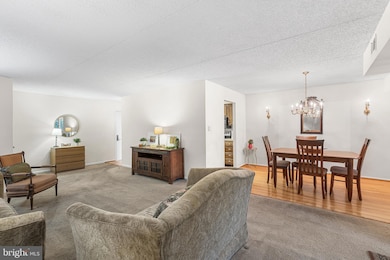 103 Summit Dr unit A, Bryn Mawr, PA 19010 - photo 7