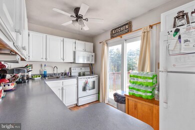 185 Spiker Ln, Strasburg, VA 22657 - photo 6