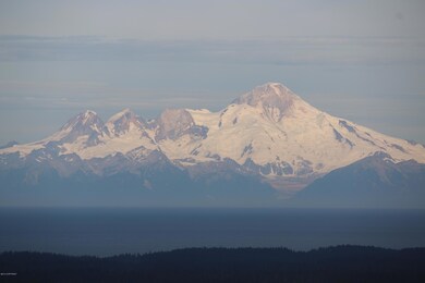 Mt. Iliamna