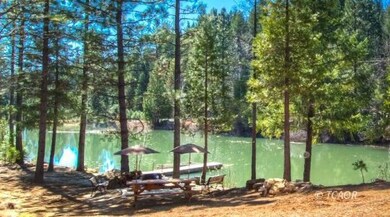 151 Guy Covington Dr, Trinity Center, CA 96091 - photo 5