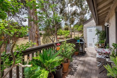 Canyon views from the balcony!