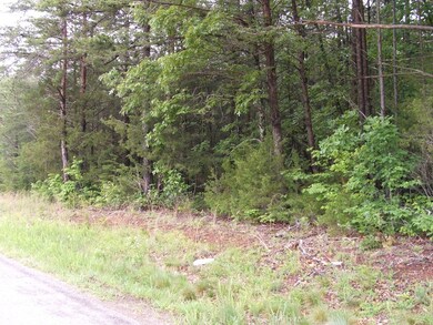 659 Old Mansion Rd unit B, Lunenburg Court House, VA 23952 - photo 3