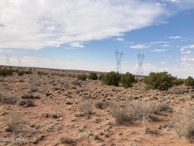 5324 White Antelope Rd, Snowflake, AZ 85937 - photo 6