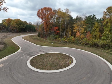 dji_fly_20241023_110158_63_1729698138645