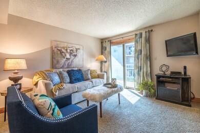 1565 Shadow Run Frontage unit 208, Steamboat Springs, CO 80487 - photo 2