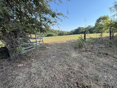 46A Lafferty Rd, Mount Pleasant, AR 72561 - photo 3