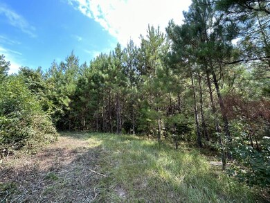 0 Bullard Rd, Dry Branch, GA 31020 - photo 7