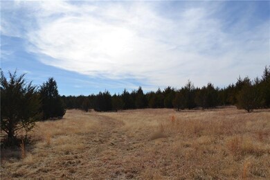 Middle of the property looking SW.