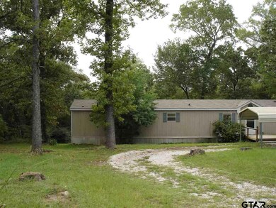 13738 County Road 2241, Tyler, TX 75707 - photo 5