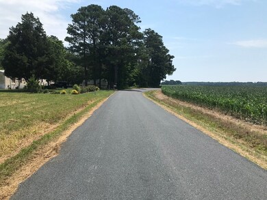 Simpkins Drive looking East from the Front of the